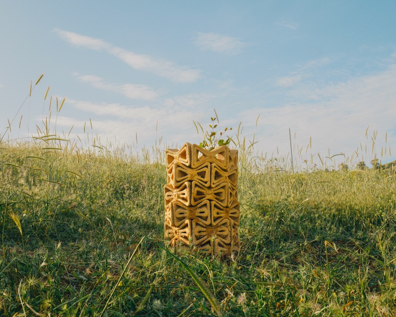 TreeSoil: укрытие, обеспечивающее рост молодых деревьев TreeSoil: укрытие, обеспечивающее рост молодых деревьев