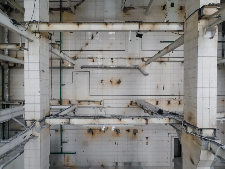 В галерее fābula HQ пройдет Ландшафтная лаборатория от платформы ​Timeless Landscape