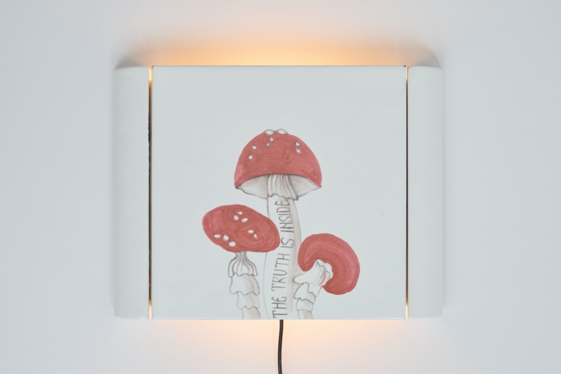 Коллаборация бренда Reda и PLACEBO/25