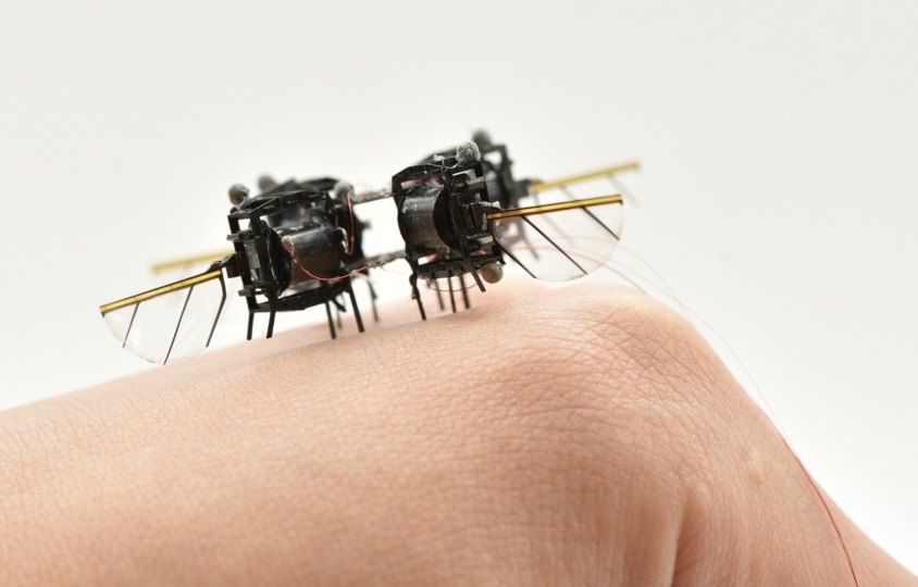 В MIT разработали миниатюрного летающего робота