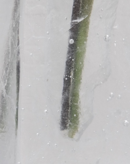 Студия FRESH.GLASS дебютирует на выставке Maison&Objet