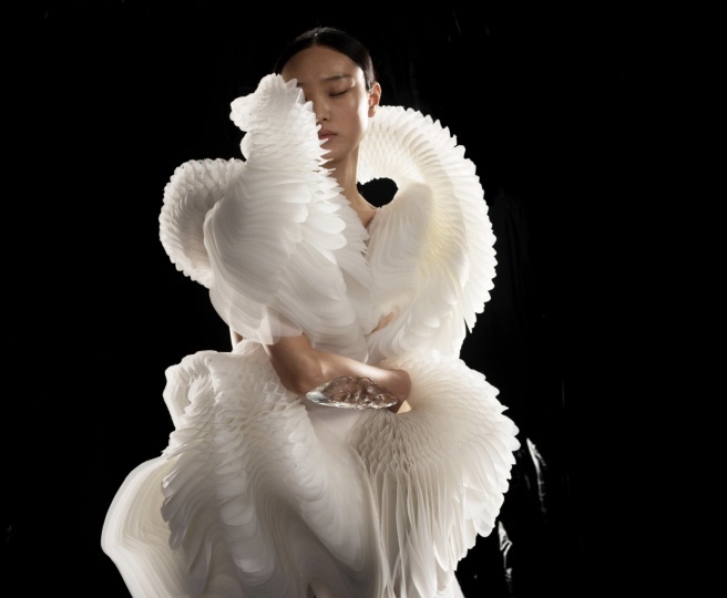 Бруклинский музей покажет более 140 работ Ирис ван Херпен