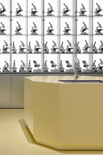 Команда .dpt создала экспозицию павильона «Пчеловодство» на ВДНХ