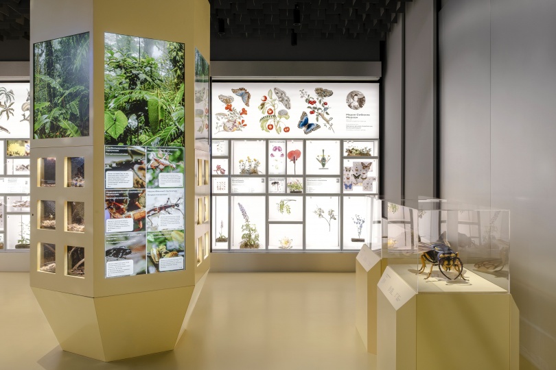 Команда .dpt создала экспозицию павильона «Пчеловодство» на ВДНХ