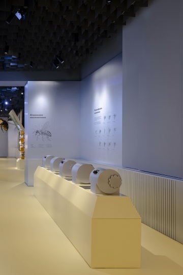 Команда .dpt создала экспозицию павильона «Пчеловодство» на ВДНХ