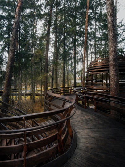 Премия АРХИWOOD опубликовала шорт-лист