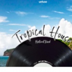 Международный архитектурный конкурс "Tropical House"