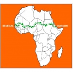 GREAT GREEN WALL COMPETITION