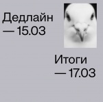 Опен-колл на участие в интенсиве «Создание городской голубятни»