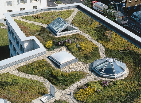 Конференция «Технологии озеленения крыш: расширяя пространство для города»