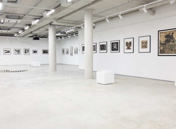 Выставка-исследование «Мир фотоплоскости»