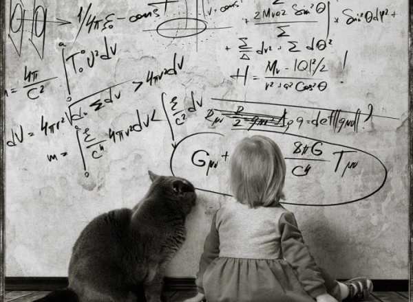 Андрей Прохоров. Маленькая девочка и кот Том