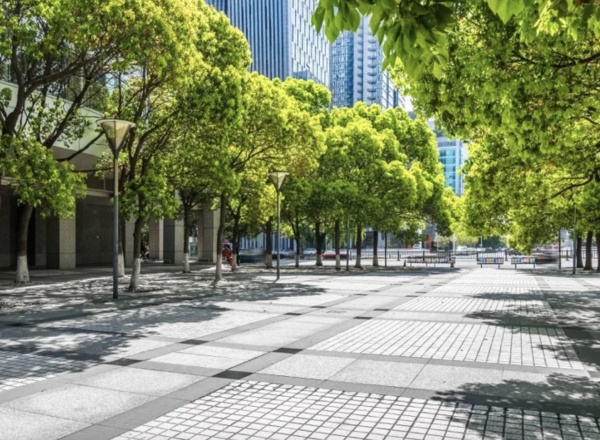 Проект «Межгород»: Красноярск