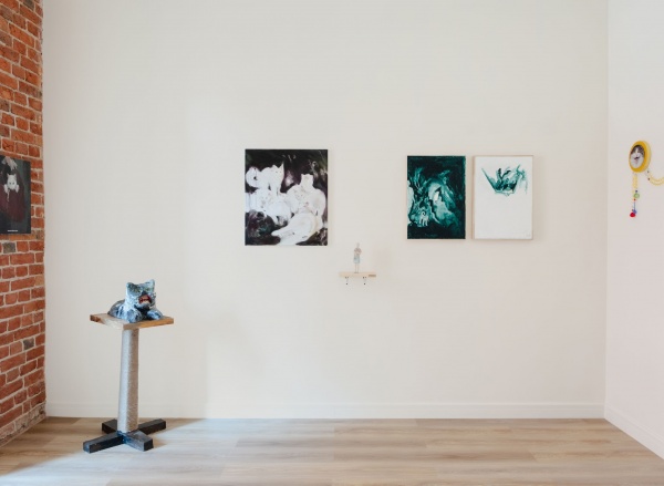 PAWS COMMS x Set Projects: «Выставка кошек»