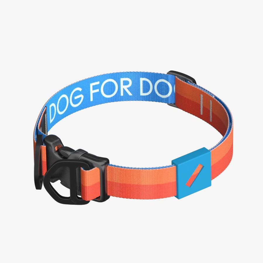 Ошейник Dog for Dog