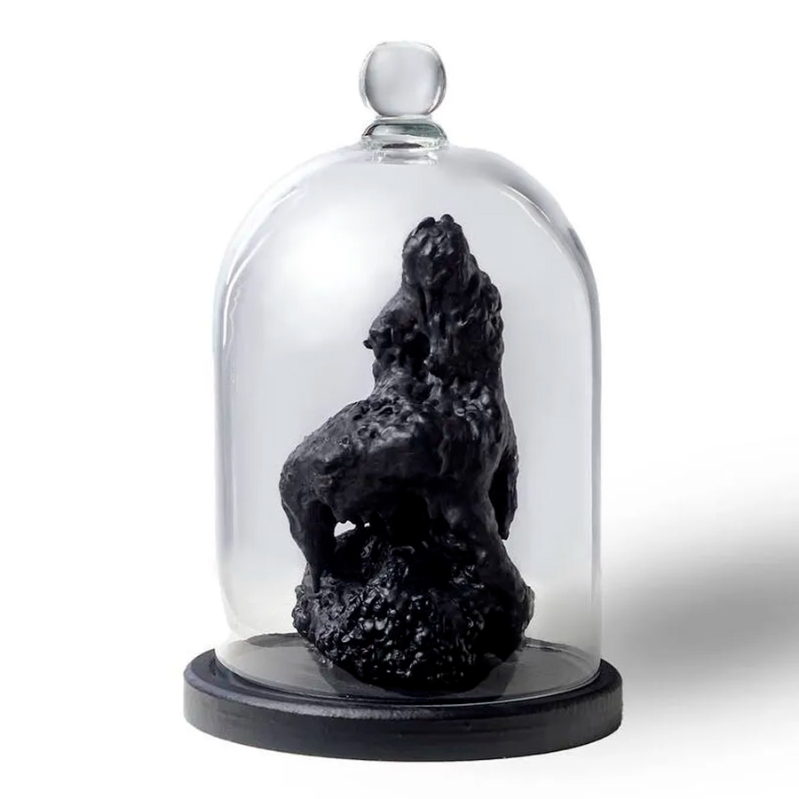 Asteroid HDPE#13