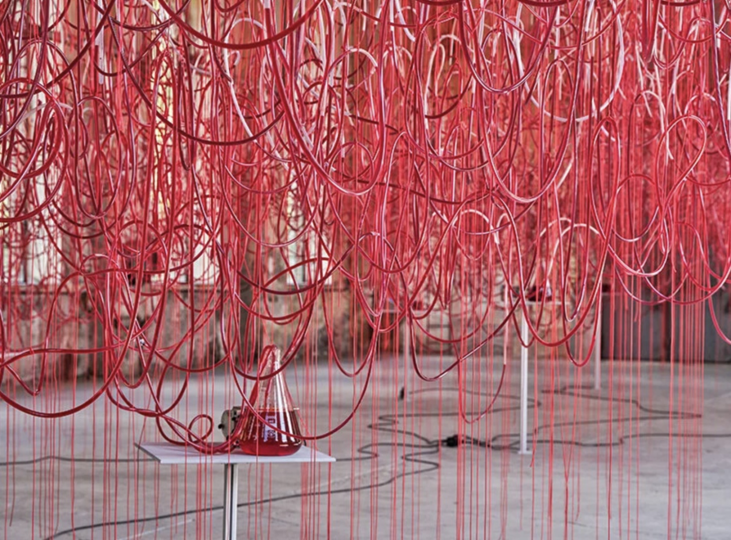 Новая инсталляция Тихару Сиоты напоминает живой организм