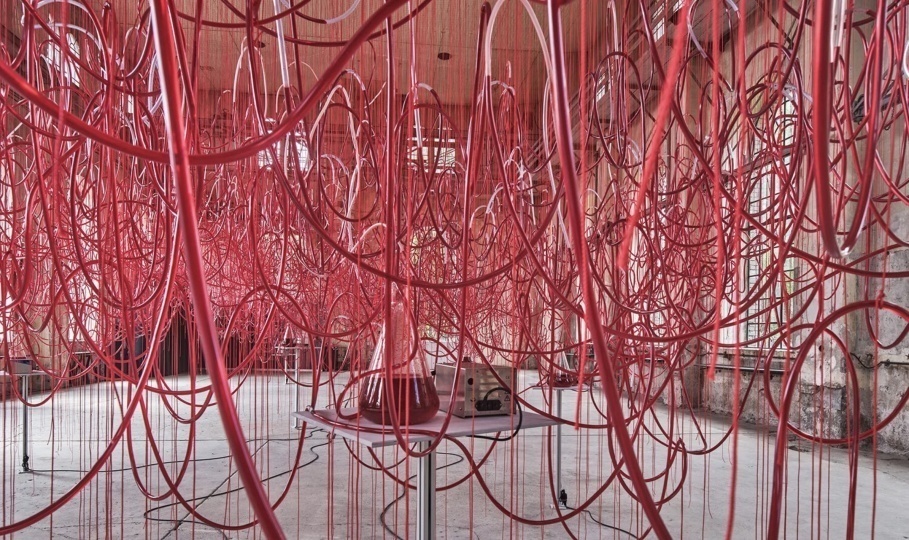 Новая инсталляция Тихару Сиоты напоминает живой организм