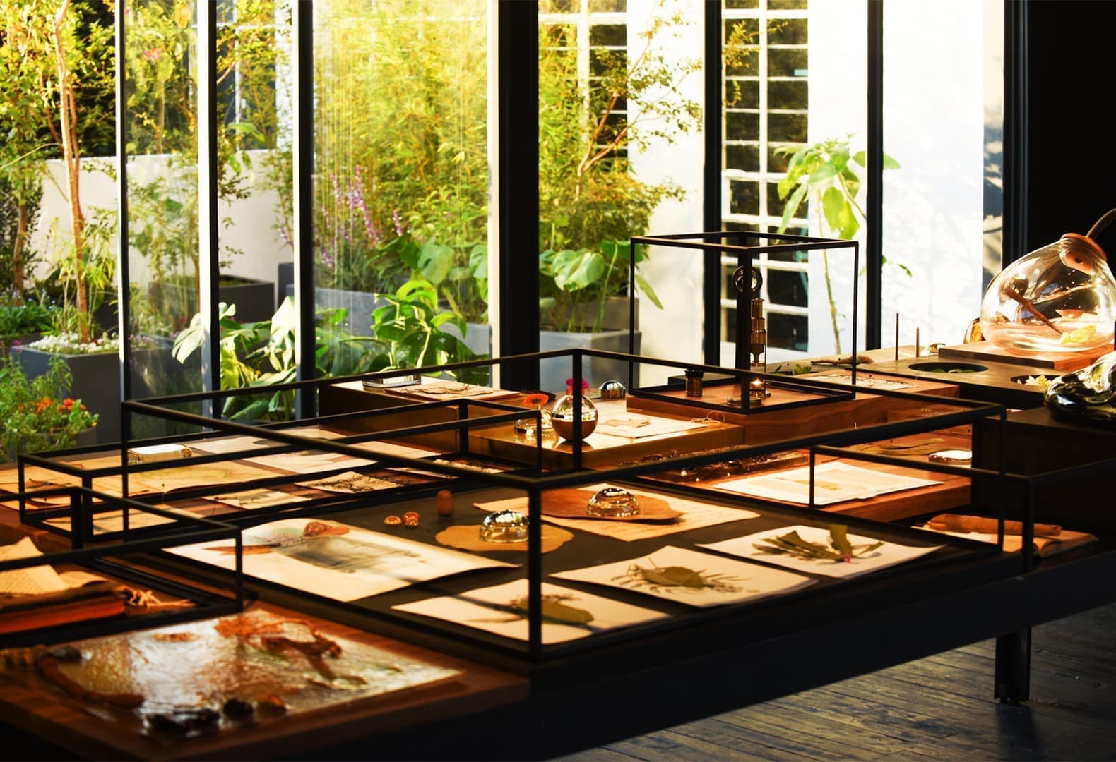 Xinú: аромат как искусство. Фото: Jaime Navarro