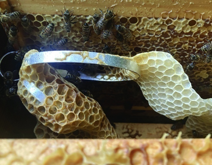 Украшения, подчеркивающие роль пчел в экосистеме