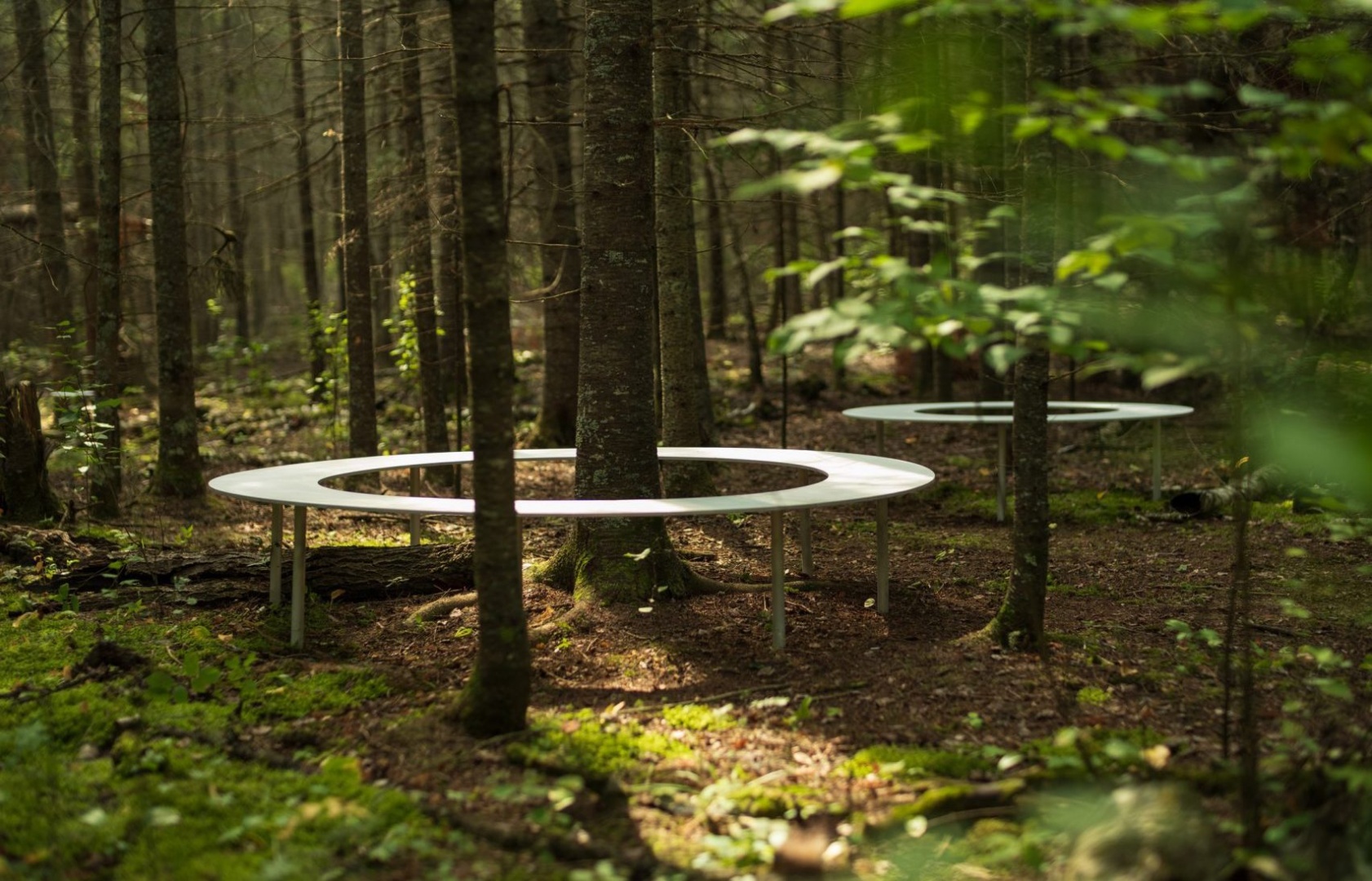 Дизайнер из Монреаля придумал скамейки для взаимодействия с природой