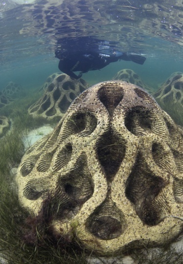 Reef Design Lab предложила решение проблемы береговой эрозии
