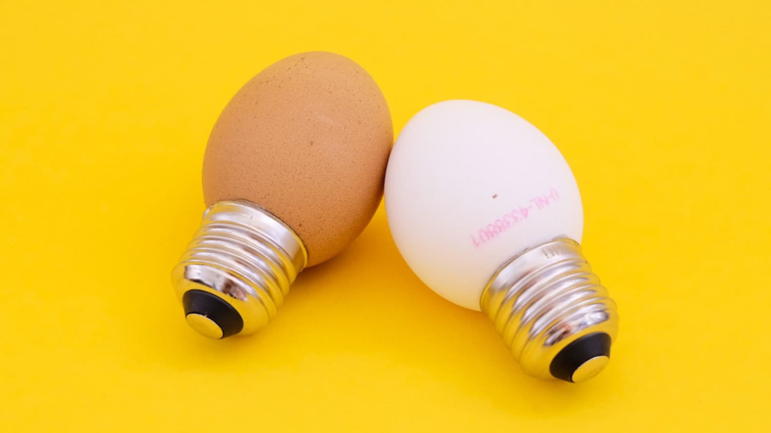 Eilamp / Egglamp — © Coloruben Studio