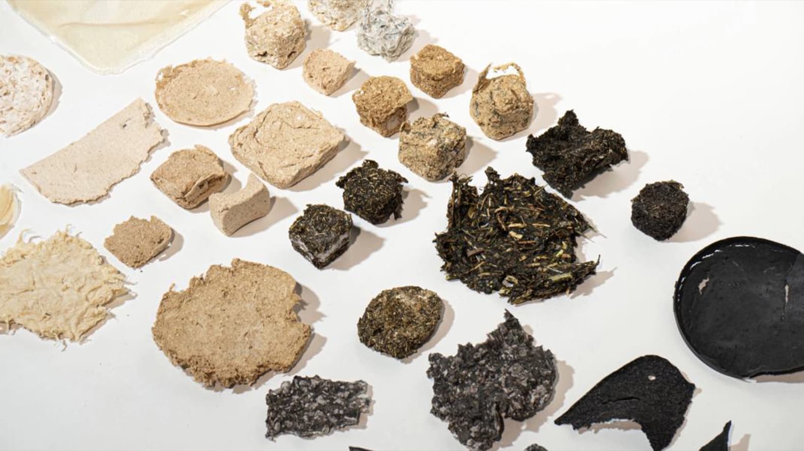 Austral. INNOVY. Фото: Floris Koopman