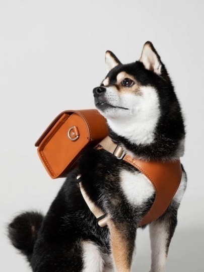 Японский бренд Tsuchiya Kaban выпустил рюкзак для собак