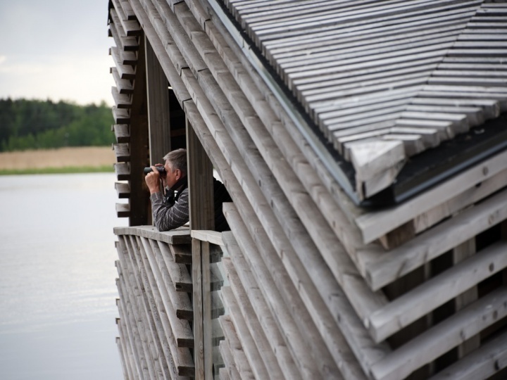 Studio Puisto построила плавучий павильон для наблюдения за птицами