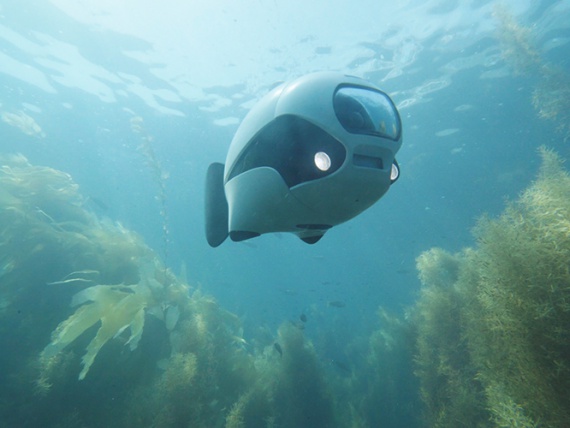 Компания Robosea представляет первый в мире подводный дрон