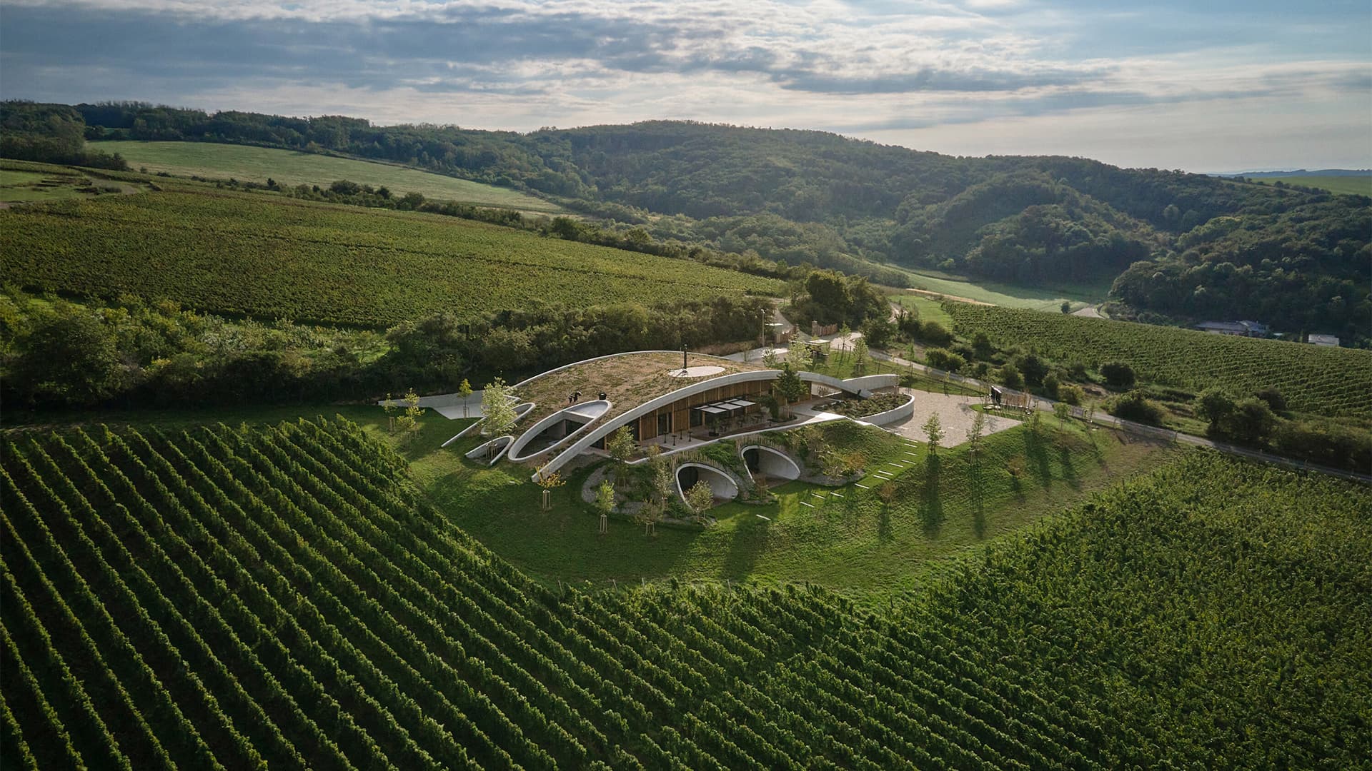 Виноградники и архитектура: 7 впечатляющих виноделен по всему миру