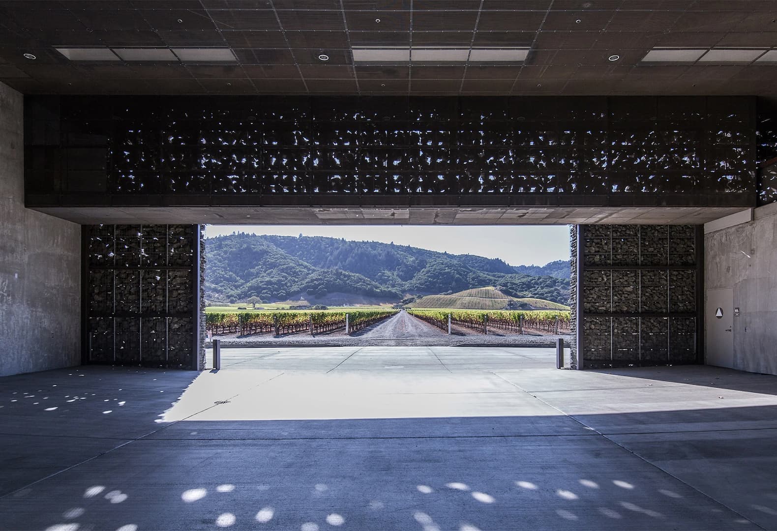 137 Dominus Winery, Калифорния, США, Herzog & de Meuron. Фото: Yueqi Jazzy Li