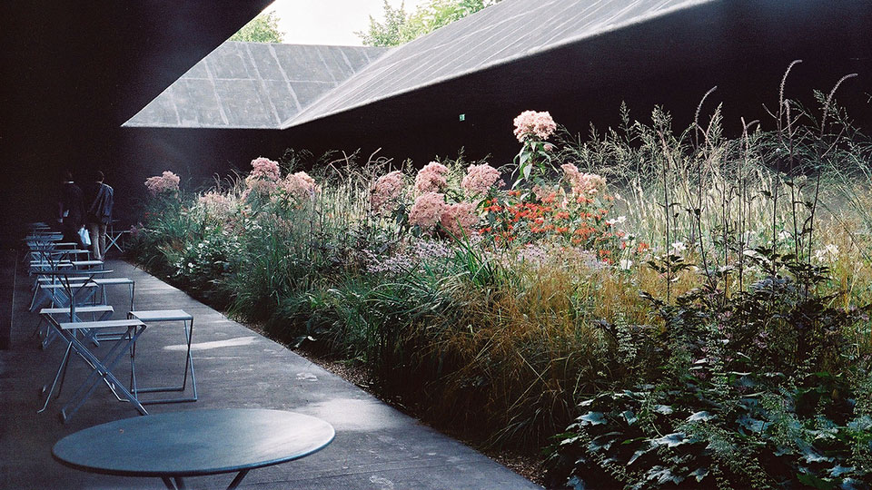 Сад Пита Удольфа для временного павильона лондонской галереи Serpentine