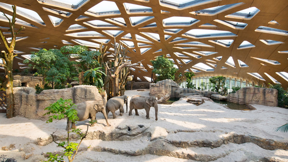 Парк слонов в Цюрихском зоопарке