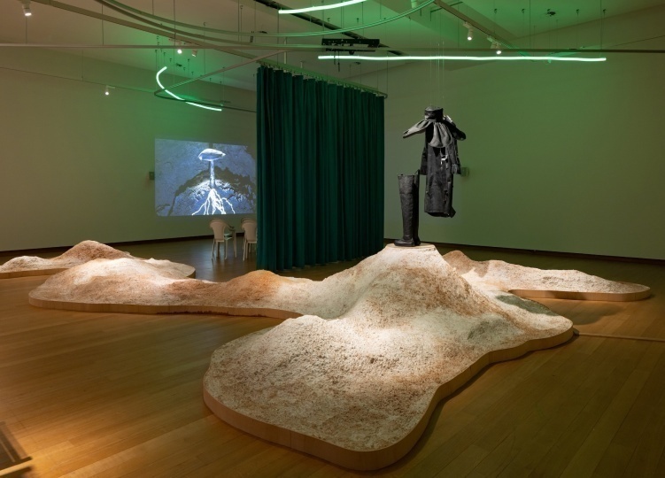 Инсталляция в музее Стеделейк раскрывает преимущества мицелия