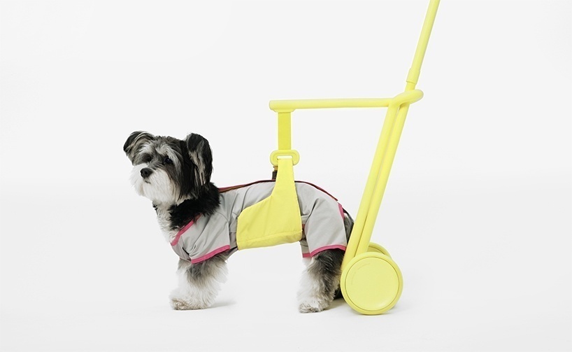 Дизайнеры разработали ходунки для собак