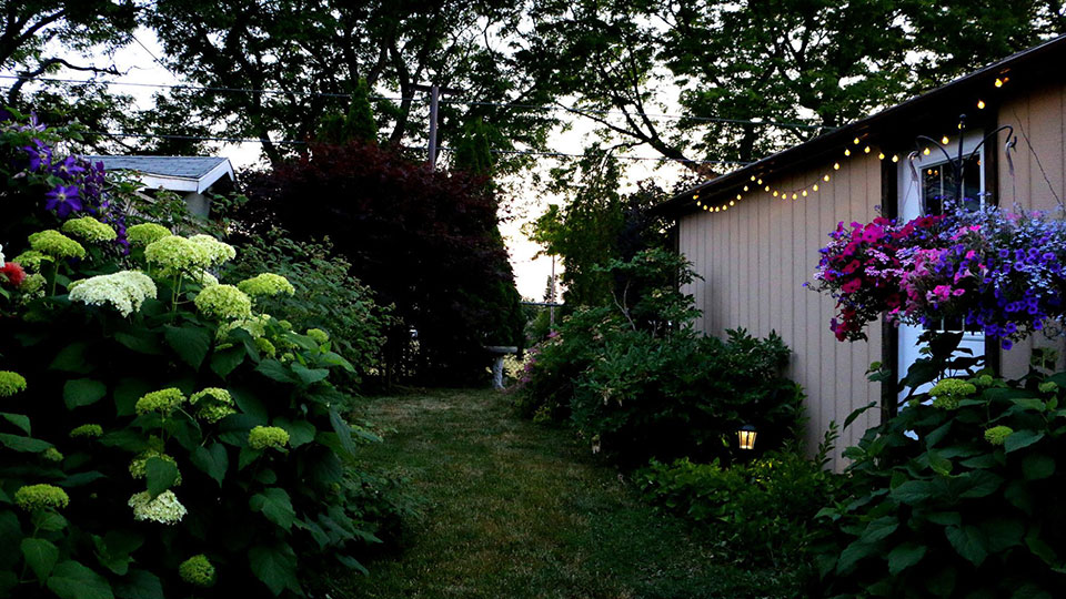 Гори ясно: как выбрать освещение для сада