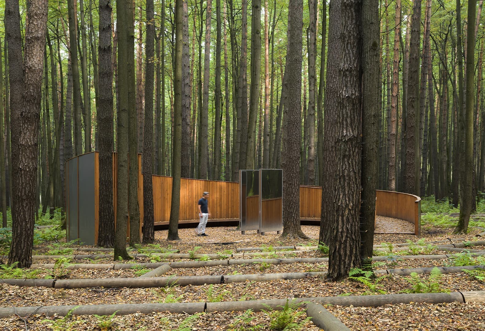 7 проектов реконструкции общественных парков