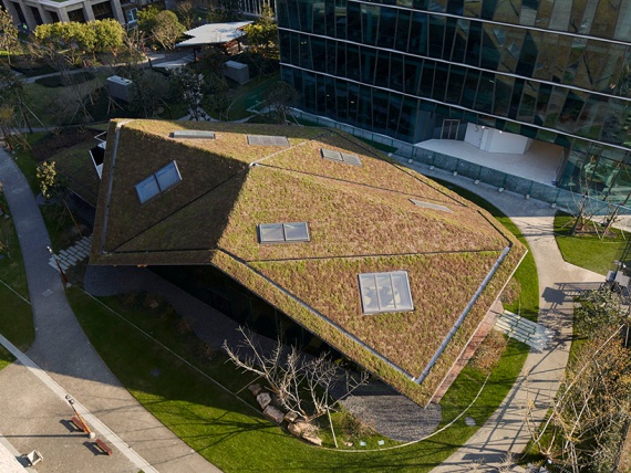 Кенго Кума увенчал новый кампус Novartis травяной крышей