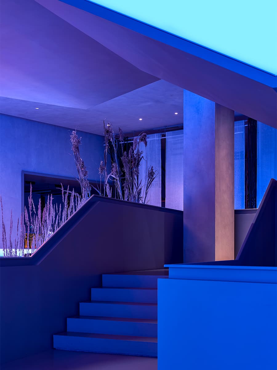 Отсылки к кинопленке, световые кубы, динамичное пространство и историческая локация кинотеатра в Санкт-Петербурге — проект DA Bureau