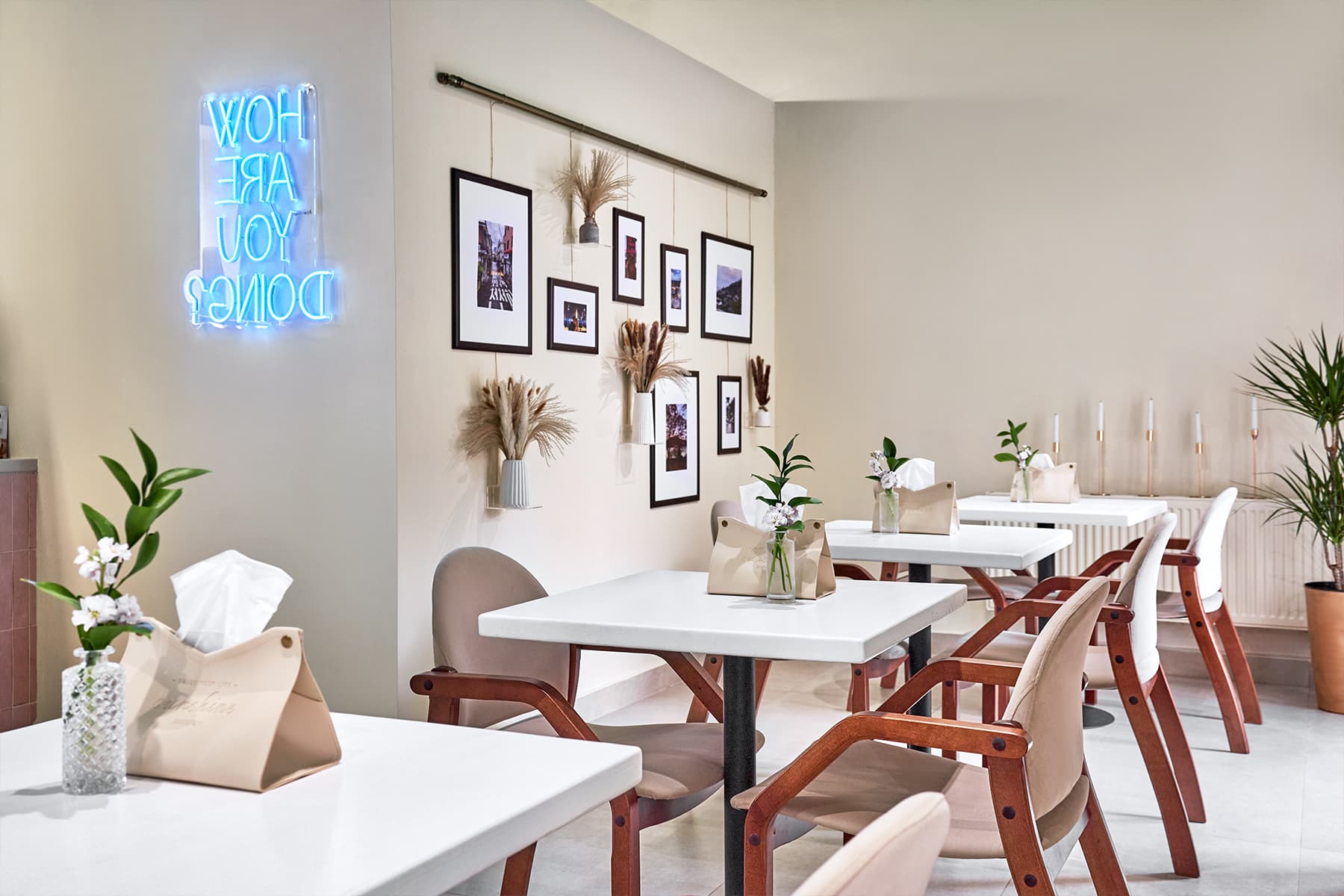 Яркий молодежный интерьер пекарни с корейским характером — проект Анастасии Давиденко