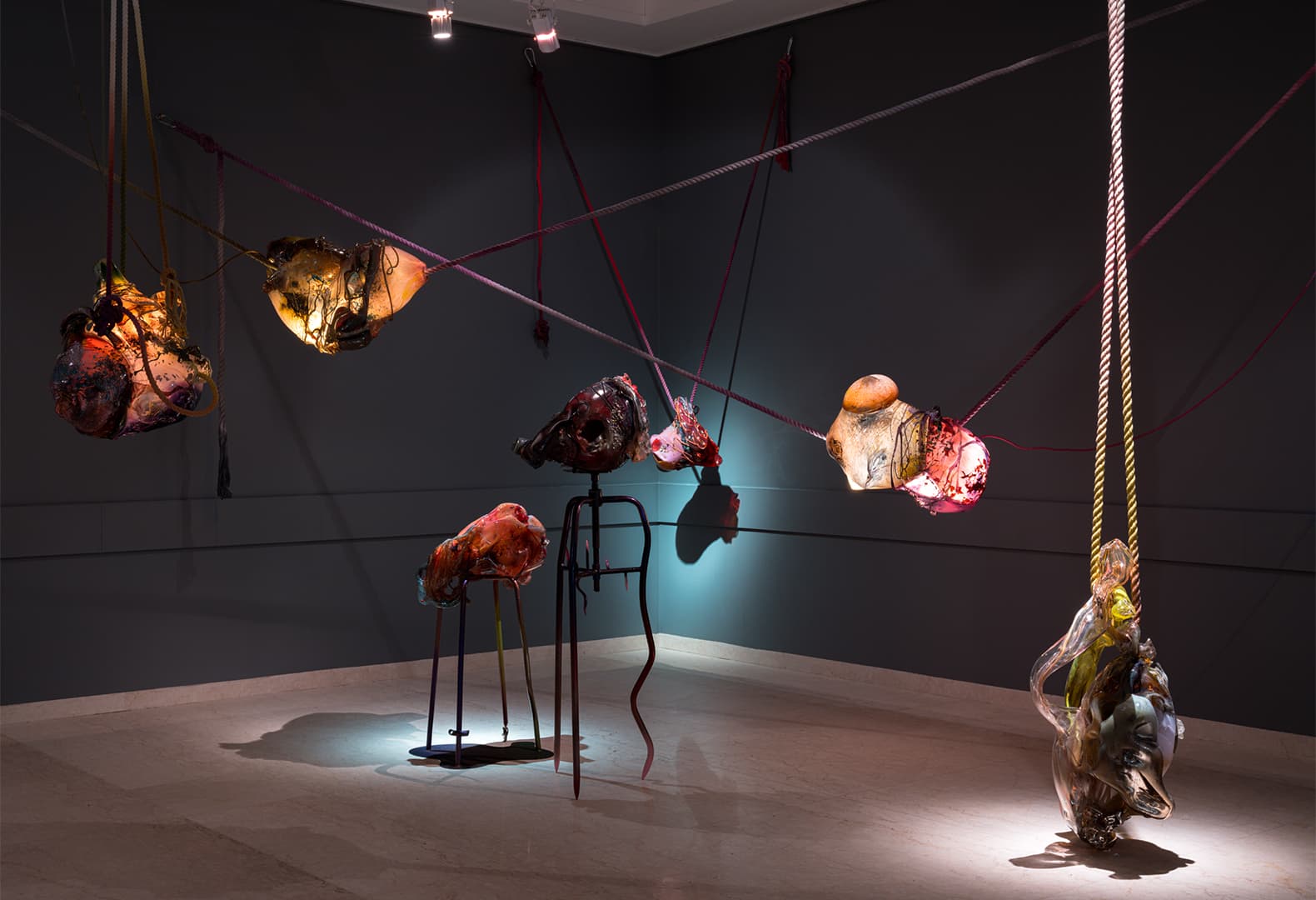 Выставка «Степени прозрачности. Vitalité fragile»