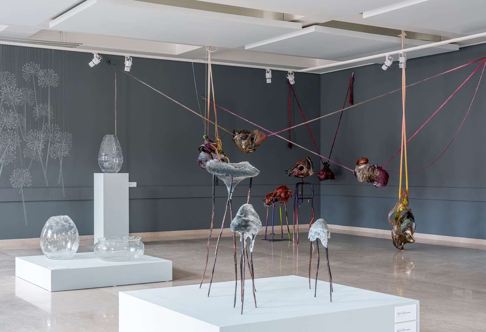 Выставка «Степени прозрачности. Vitalité fragile»