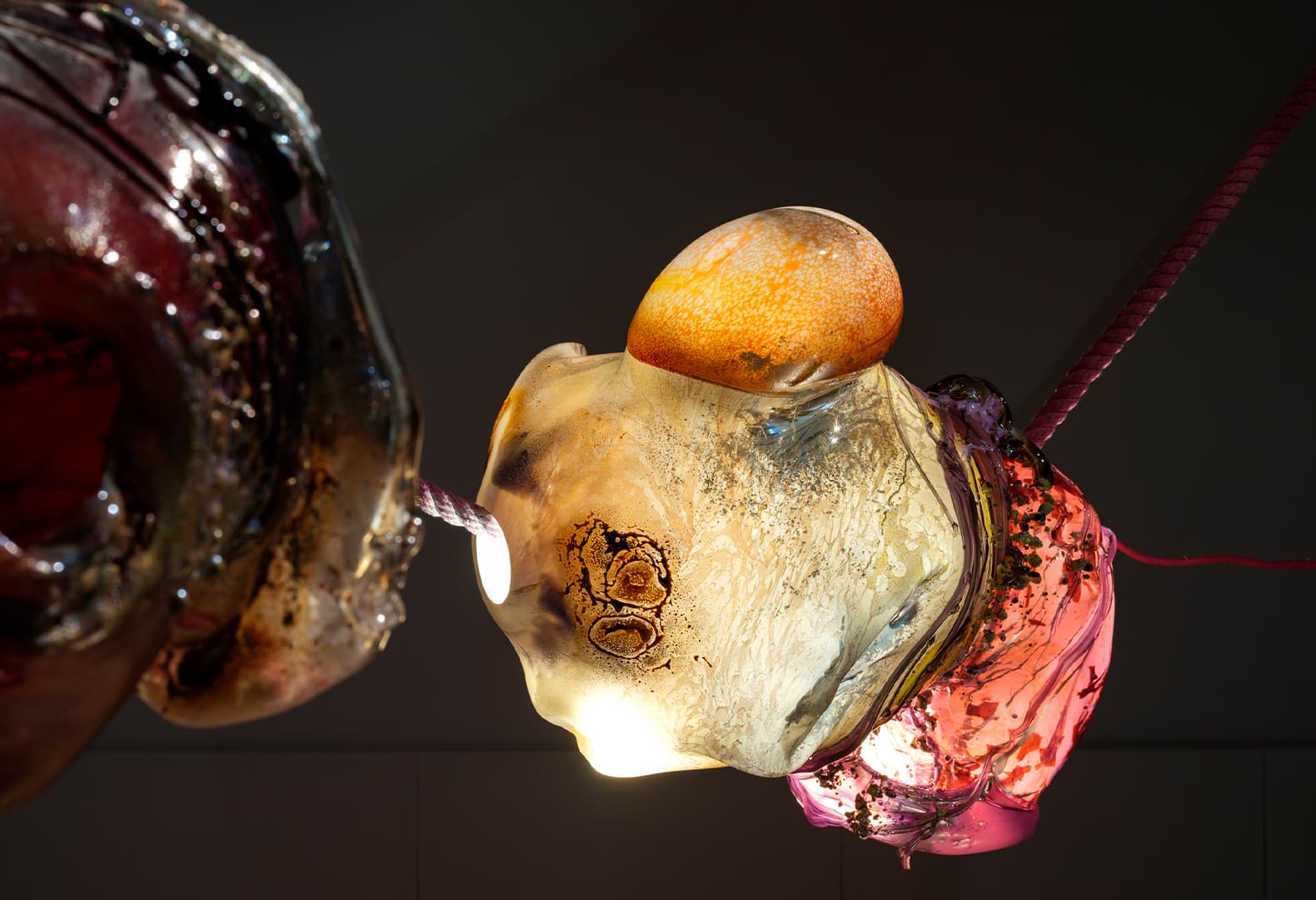 Выставка «Степени прозрачности. Vitalité fragile»