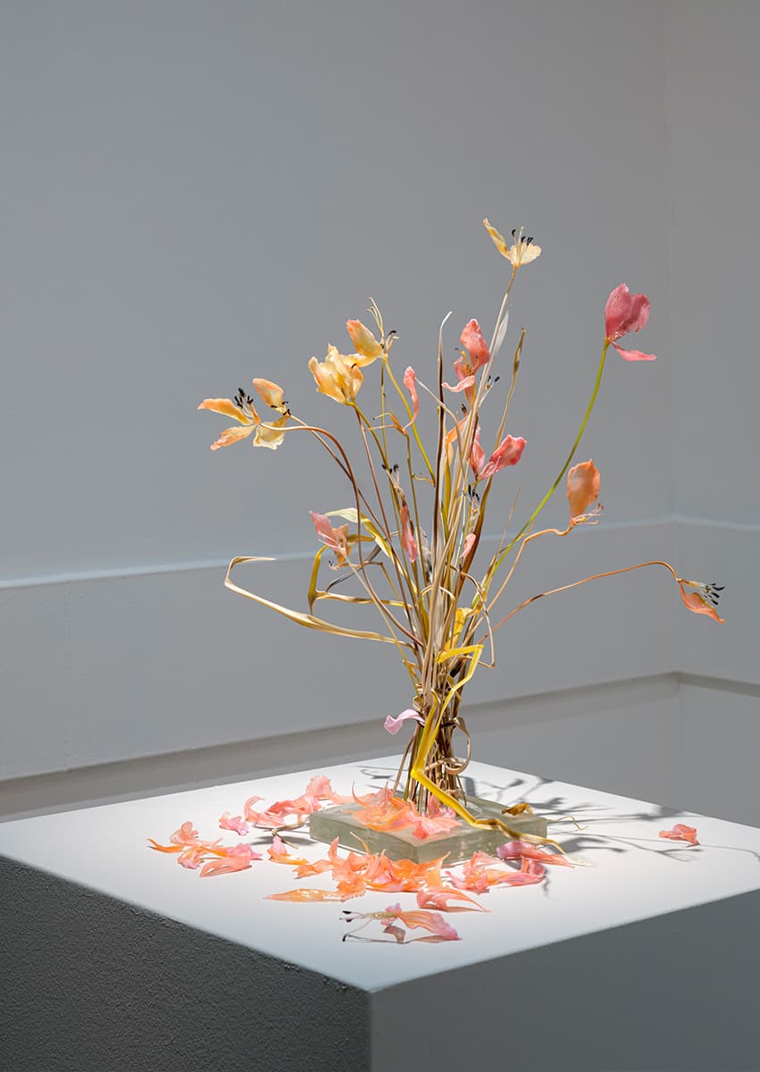 Выставка «Степени прозрачности. Vitalité fragile»