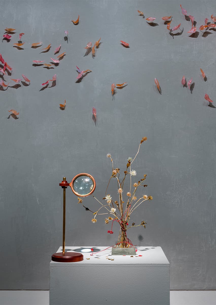 Выставка «Степени прозрачности. Vitalité fragile»