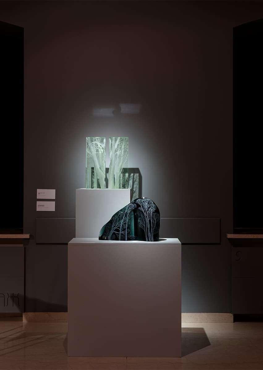 Выставка «Степени прозрачности. Vitalité fragile»