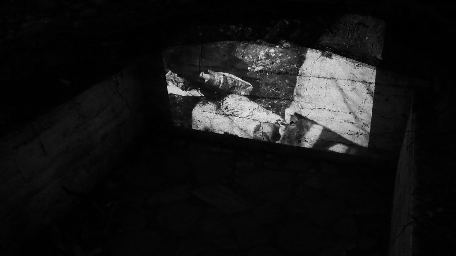 Арт-группа «Хвойные»