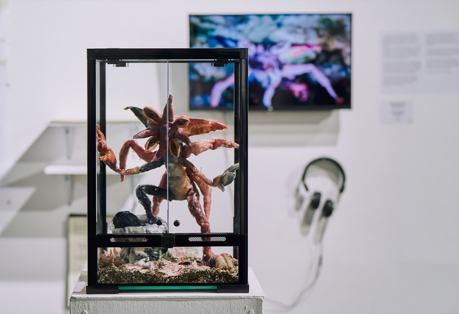 Ксения Маркелова